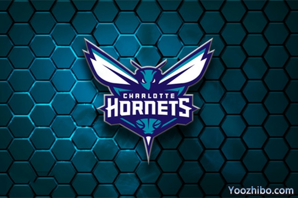 2019-2020赛季<a href=/lanqiujrs/hornets/ target=_blank class=infotextkey>黄蜂</a>队队徽